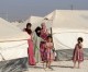 UN launches largest humanitarian appeal for Syria