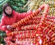 Fight trade protectionism, says China