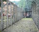 50 alleged Auschwitz guards to face prison