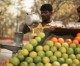 India inflation at 4.89%, a 41 month low