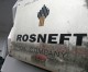 Rosneft privatisation on course: Minister
