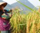 China to increase agricultural funding