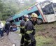 14 die in bus crash in Brazil