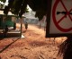 Brazil says concerned over CAR violence