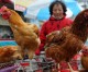 Bird flu infected count rises in China