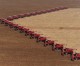 Brazil set to become world’s largest soybean producer