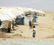 UNHCR, IOM decry US refugee ban