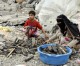 Saudi child killed in Yemen missile attack