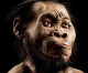 HomoNaledi, a new species, discovered in a South African cave