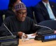 Abuja Summit focuses on Boko Haram defeat
