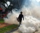 Zika could affect adult brains, too – study