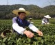 China sees increased growth in rural wealth
