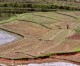 No wealth tax on agricultural land- India