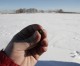 Russia calls off meteorite shower fragment search