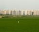 20% rise in Delhi property prices in 2013