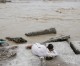 India cremates flood victims amid fears of epidemic