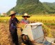 More Chinese provinces eradicate poverty