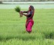 Massive growth in India, China agri population: Report