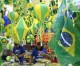 Fact file: Brazil at a glance