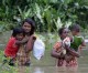 China to send 20 mn yuan humanitarian aid to SriLanka, Malaysia