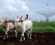 India Budget 2016/17: Focus squarely on rural sector