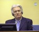 Bosnian Serb Karadzic handed 40-year sentence