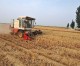 US, Canada fall behind as Russia becomes biggest wheat exporter