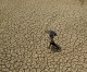 India heat wave: Scores dead in southern state