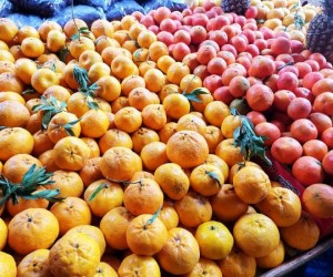 South African citrus export volumes to jump in 2020